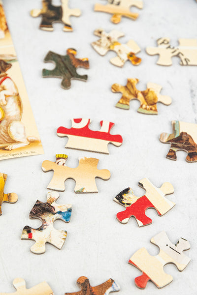240 Piece Mini Puzzle - Cats & Dogs