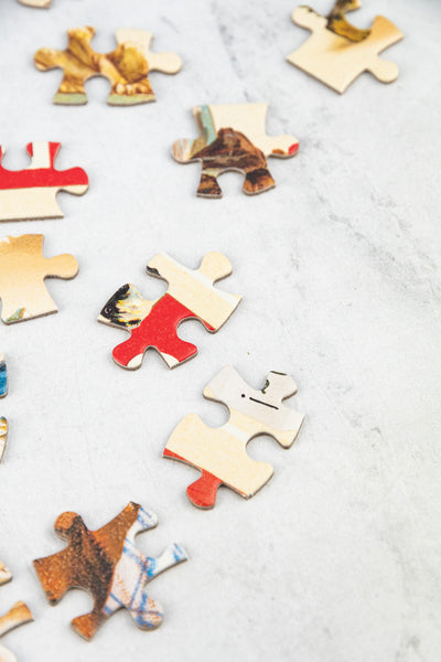 240 Piece Mini Puzzle - Cats & Dogs