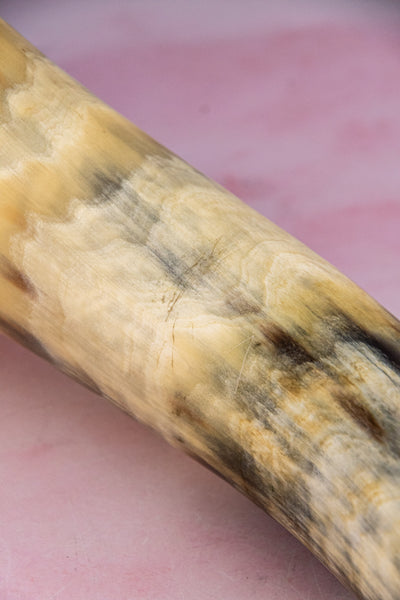 Antique Silverplate Grand Horn Vase