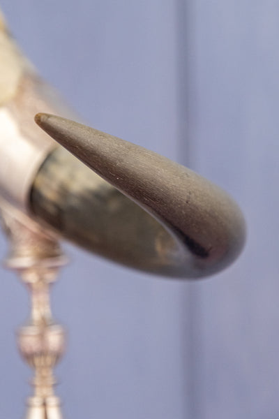 Antique Silverplate Grand Horn Vase