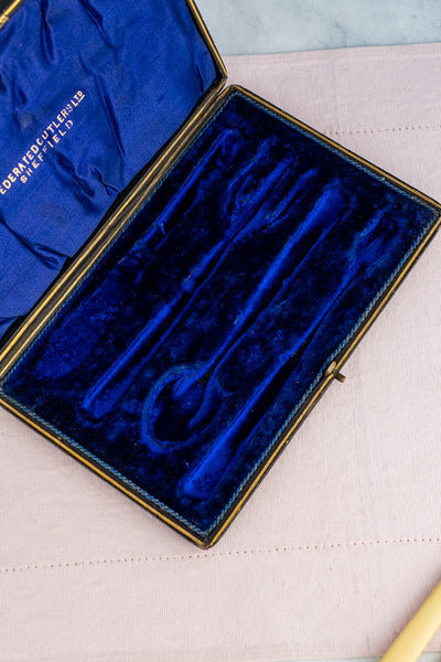 Antique Silverplate & Ivorine Server Set in Case
