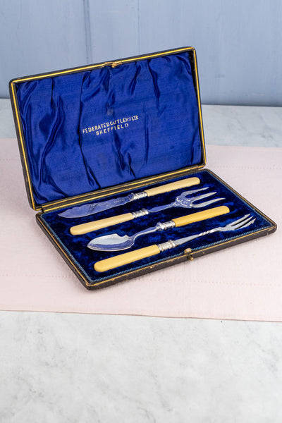 Antique Silverplate & Ivorine Server Set in Case