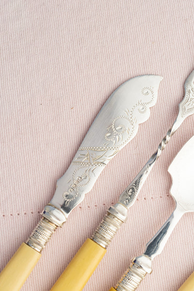 Antique Silverplate & Ivorine Server Set in Case