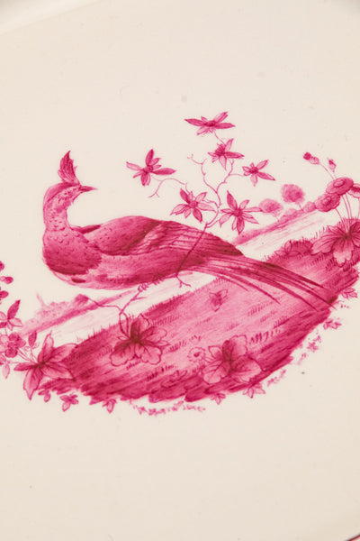 Antique Spode China - Service for 8