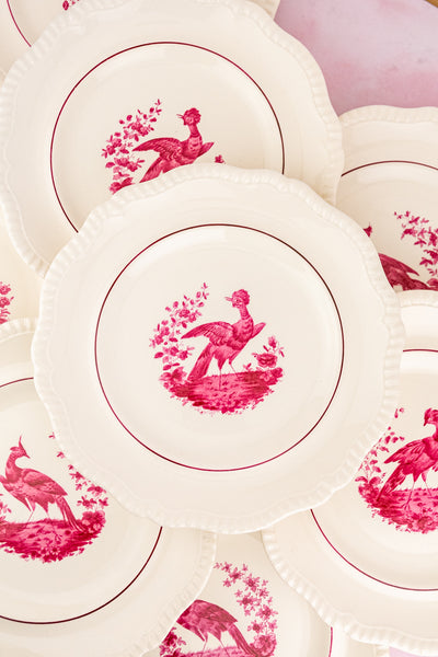 Antique Spode China - Service for 8