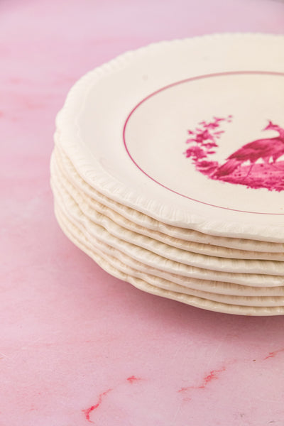 Antique Spode China - Service for 8