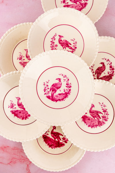 Antique Spode China - Service for 8