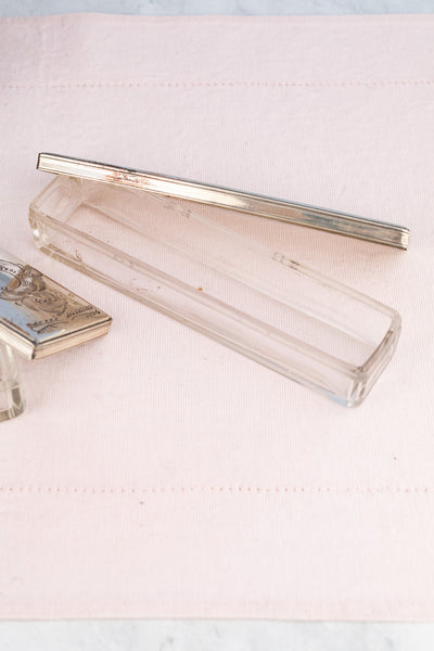 Victorian Rosewood Traveling Box