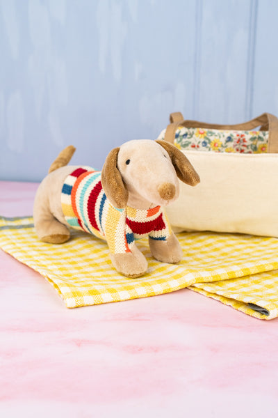 Dachshund in Carrier