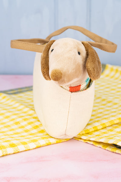 Dachshund in Carrier