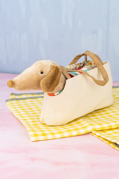 Dachshund in Carrier