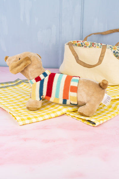 Dachshund in Carrier