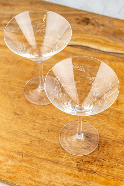Fern Martini Glasses - Set of 2