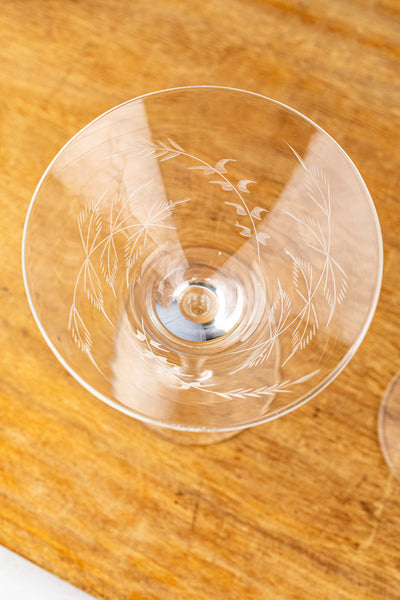 Fern Martini Glasses - Set of 2