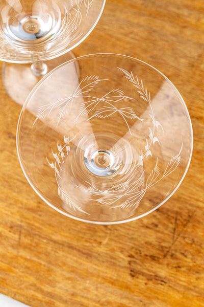 Fern Martini Glasses - Set of 2