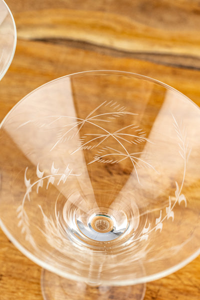 Fern Martini Glasses - Set of 2