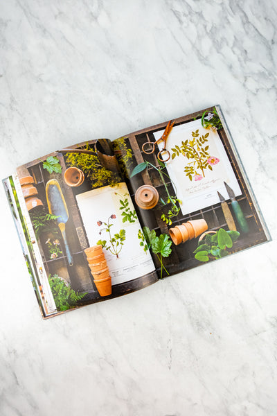 French Blooms Book