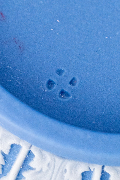 Georgian Wedgwood Cup & Saucer