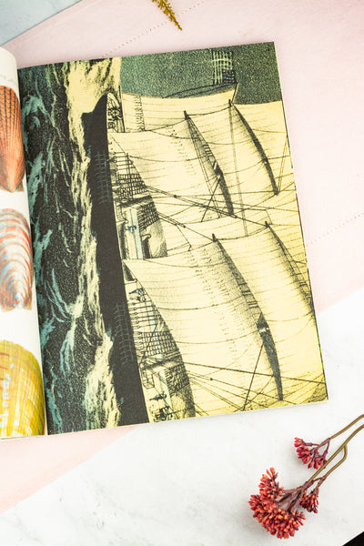 John Derian Wrapping Paper & Gift Tags Book
