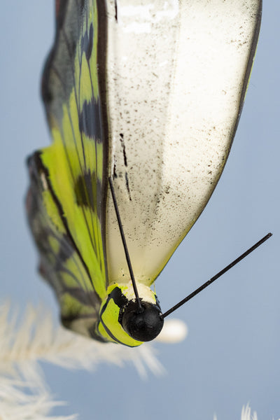 Handpainted Butterfly Glass Ornament