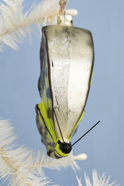 Handpainted Butterfly Glass Ornament