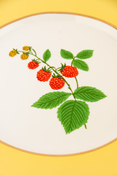 Porcelain Dessert Plates - Set of 4