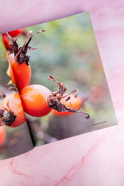 The Joy of Roses Book