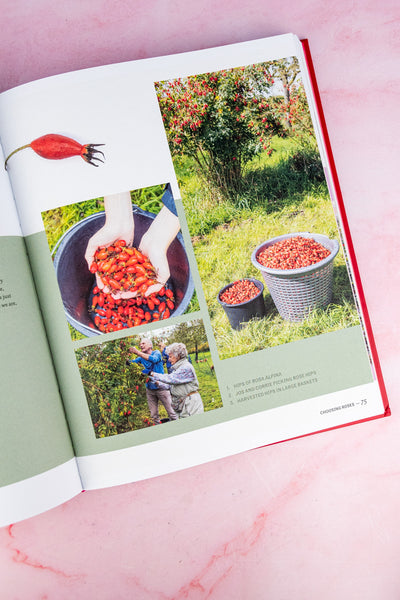 The Joy of Roses Book