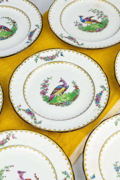 Antique Copeland Spode "Vienna Bird" Plates - Set of 8