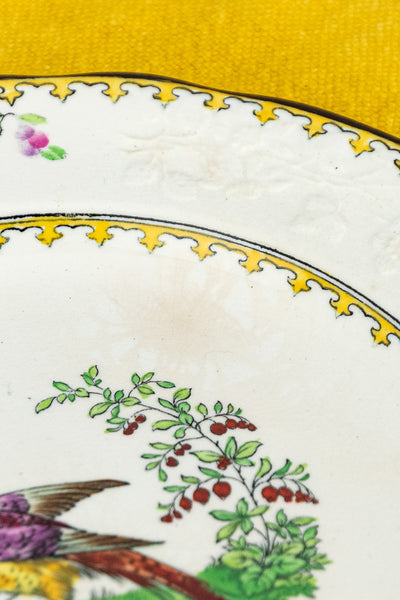 Antique Copeland Spode "Vienna Bird" Plates - Set of 8