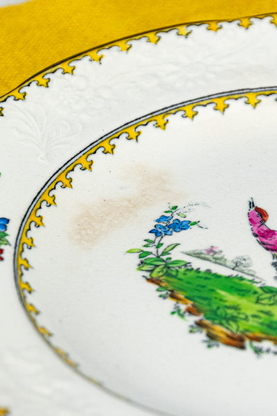 Antique Copeland Spode "Vienna Bird" Plates - Set of 8