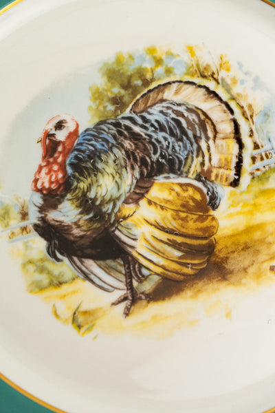 Vintage Turkey Dinner Plates - Set of 8