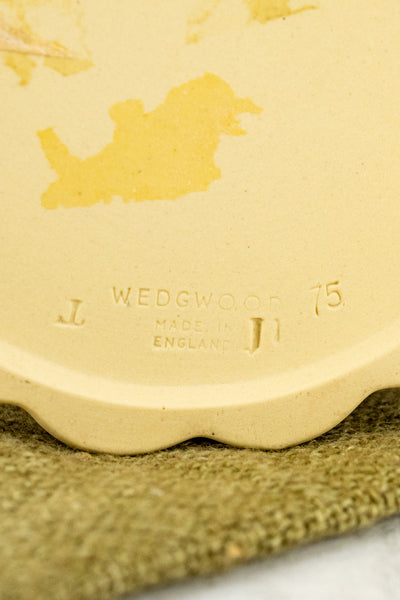 Vintage Wedgwood Bamboo Tea Service