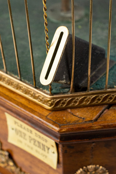 Antique French Singing Bird Automaton