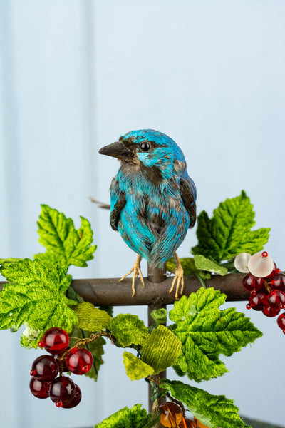 Antique French Singing Bird Automaton