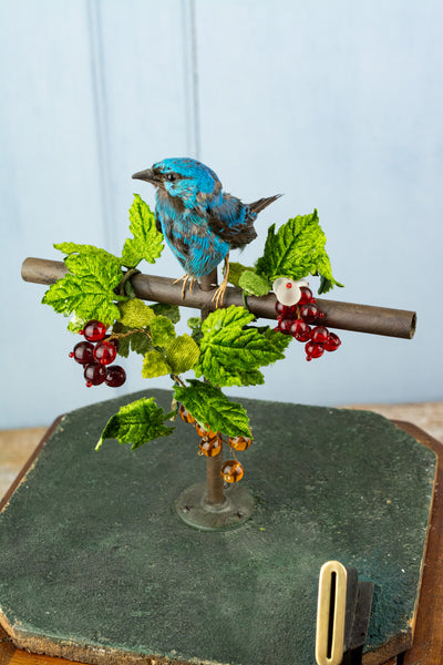 Antique French Singing Bird Automaton