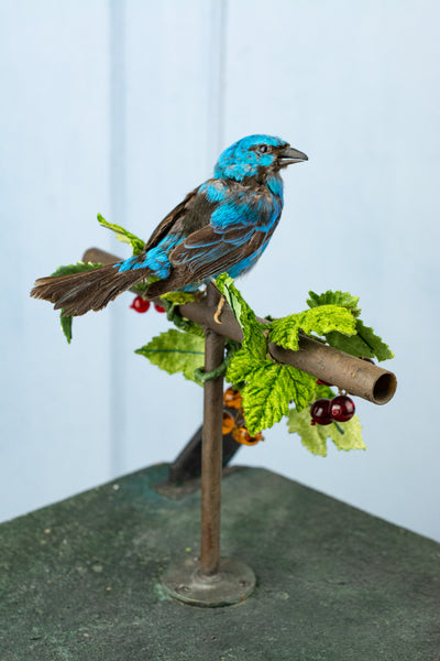 Antique French Singing Bird Automaton