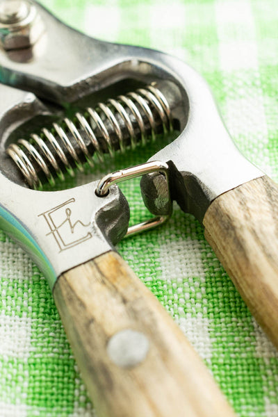 Garden Pruning Shears