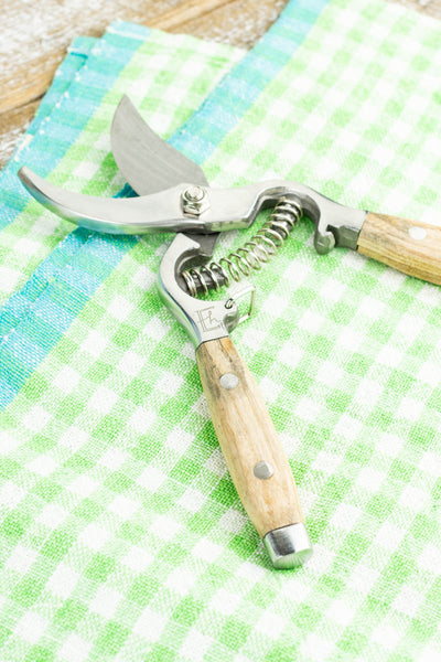 Garden Pruning Shears