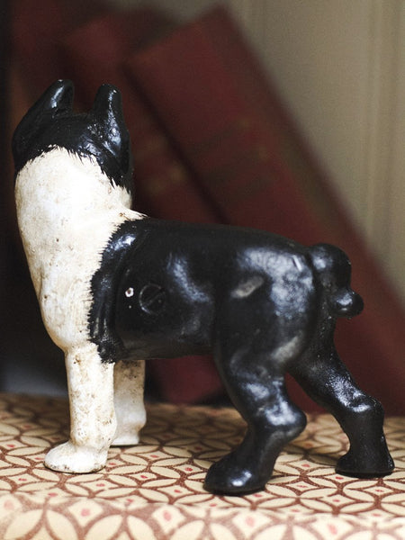 Cast Iron Boston Terrier