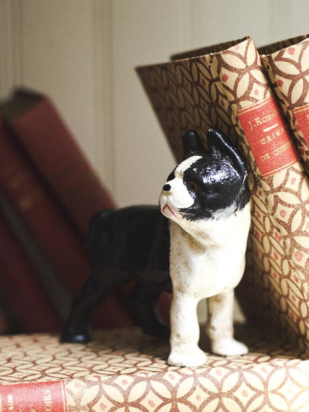 Cast Iron Boston Terrier