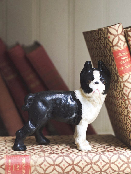 Cast Iron Boston Terrier