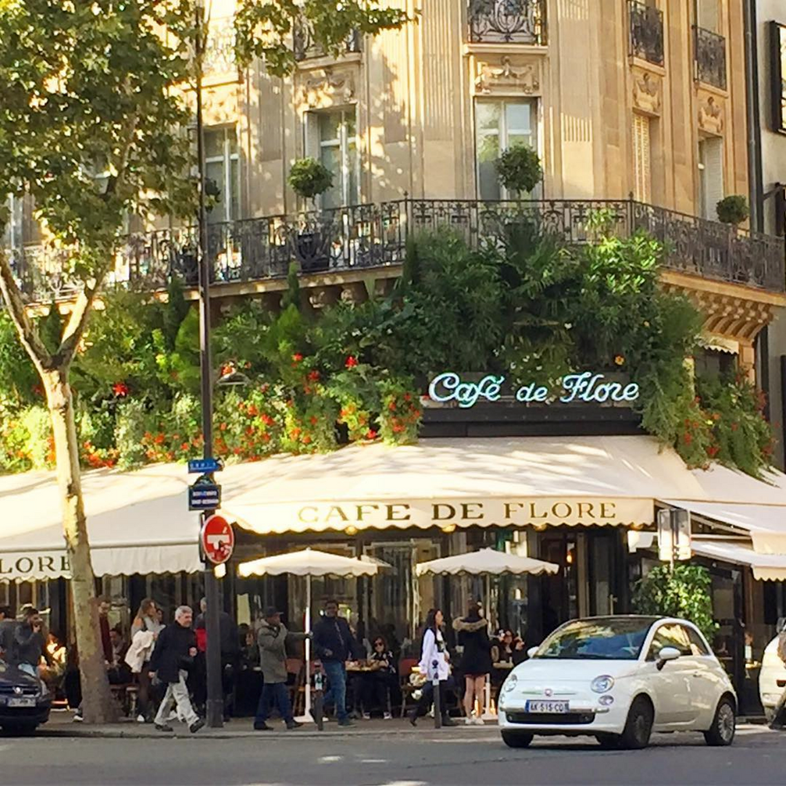 Shot Of Intelligence At The Iconic Café de Flore