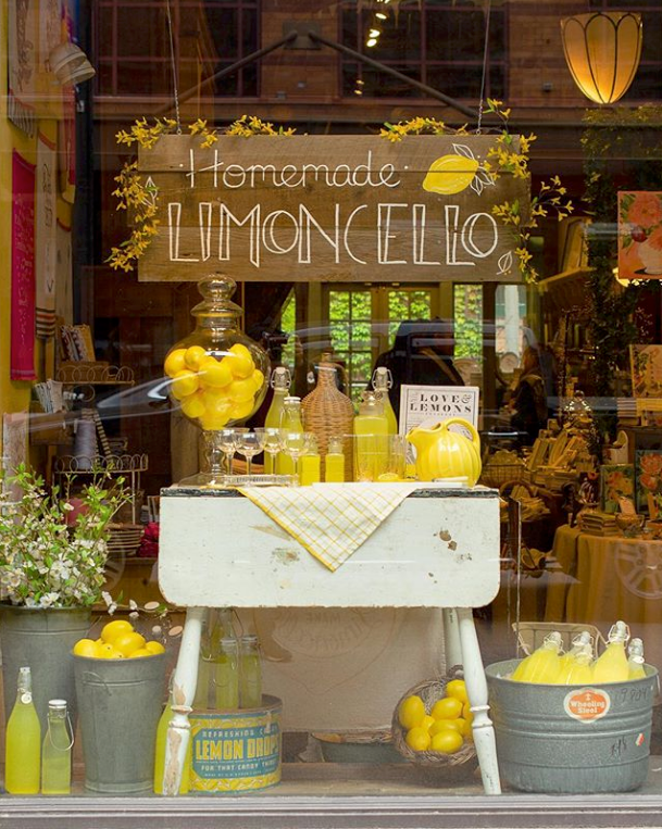 We’re Making LIMONCELLO!
