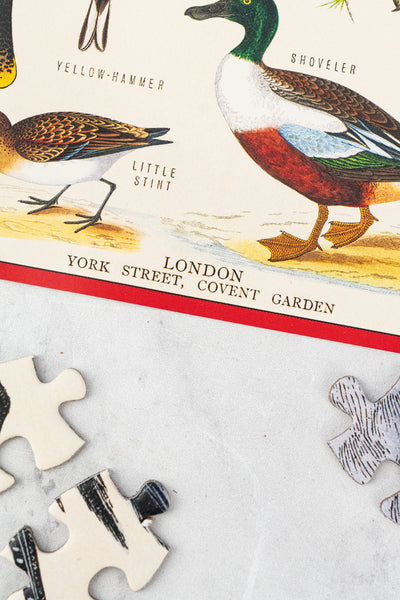 1000-Piece British Birds Puzzle