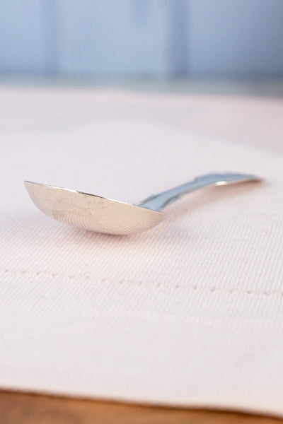 1840 George Unite Sterling Silver Tea Caddy Spoon