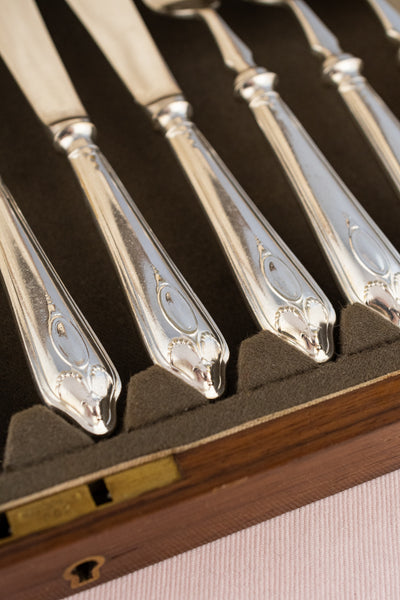 1925 Silverplate Fish Service for 6 in Case