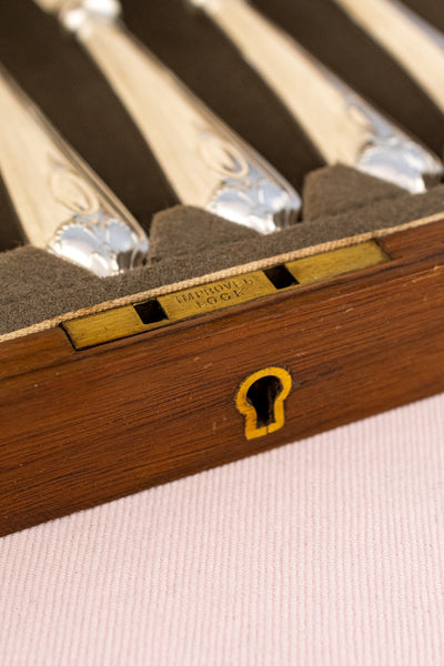 1925 Silverplate Fish Service for 6 in Case