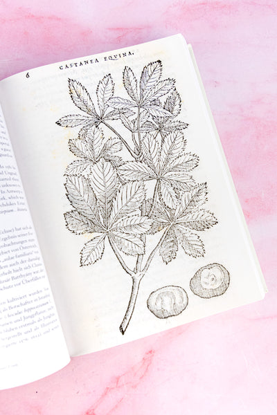 A Garden Eden Book