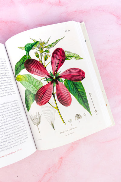 A Garden Eden Book